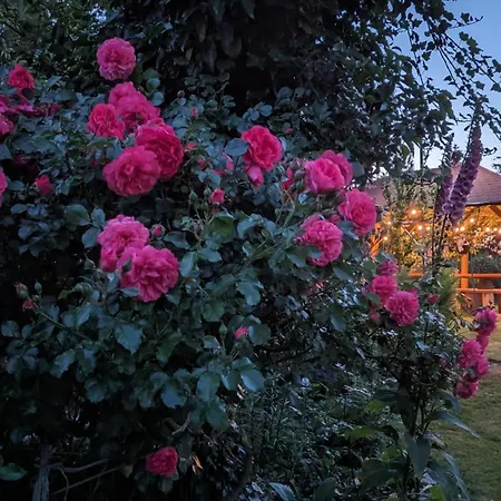 Przy Strumyku - W Gorach Izerskich Klopotnica