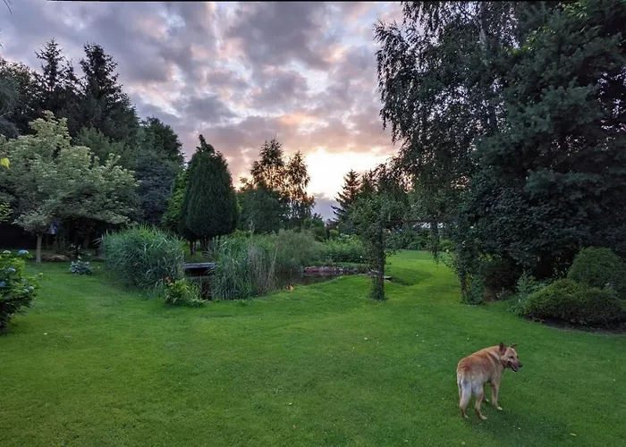 Przy Strumyku - W Gorach Izerskich Daire