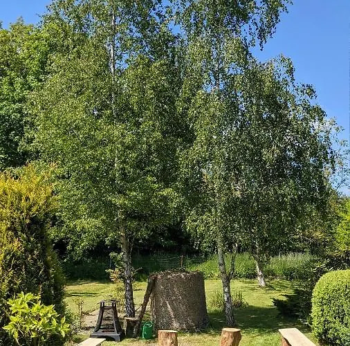 Przy Strumyku - W Gorach Izerskich Klopotnica