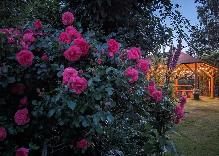 Przy Strumyku - W Gorach Izerskich Klopotnica